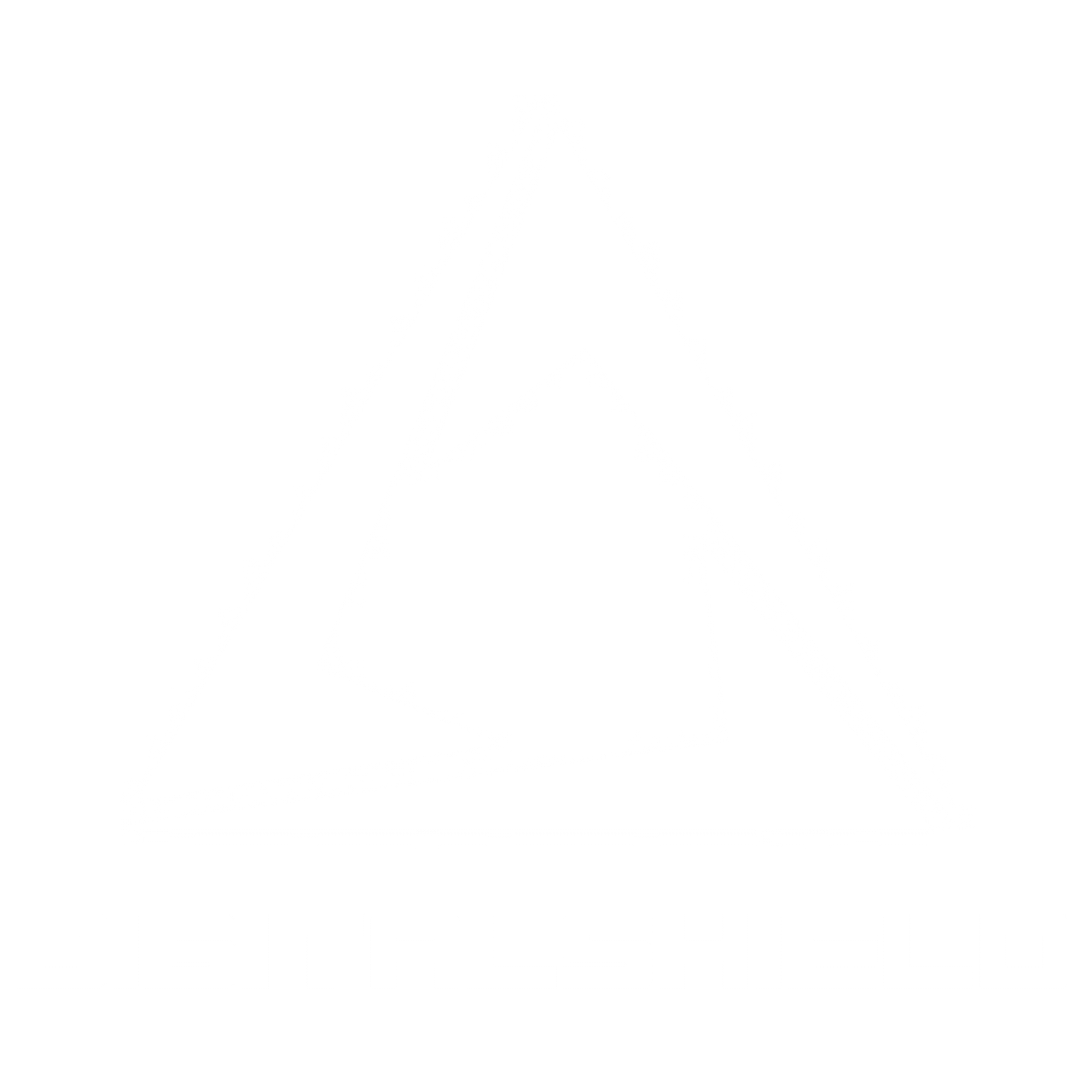 DigitalShield About